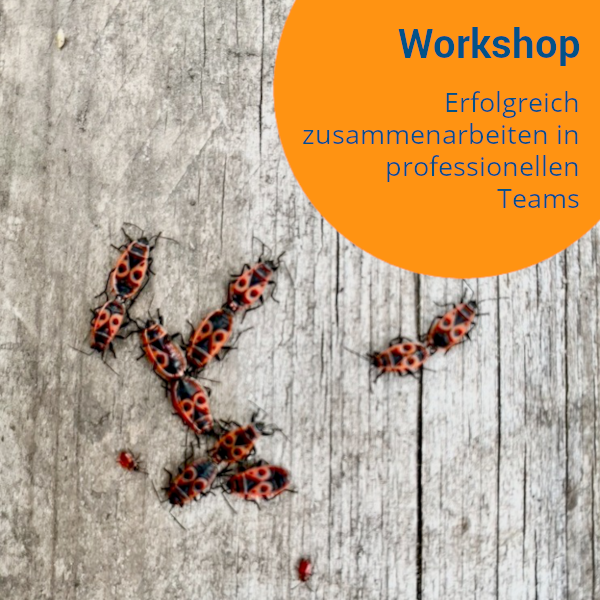 Workshop »Erfolgreich zusammenarbeiten in professionellen Teams«